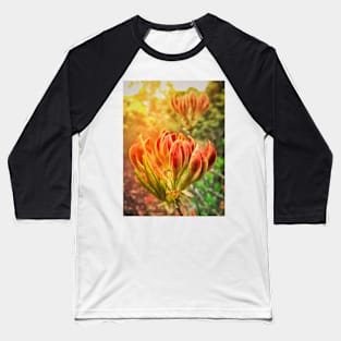 Spring Azalea Buds Baseball T-Shirt